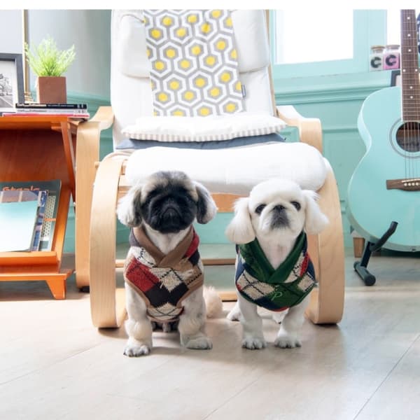 Jolly Puppia hundtröja brun Välj storlek: M