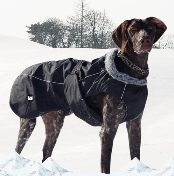 Comfort Plus TrueLove isoleret tæppe sort størrelse: 40 cm