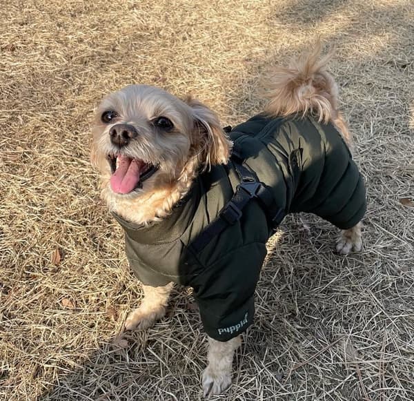 PUPPIA Khaki M mjuk vinterjumpsuit