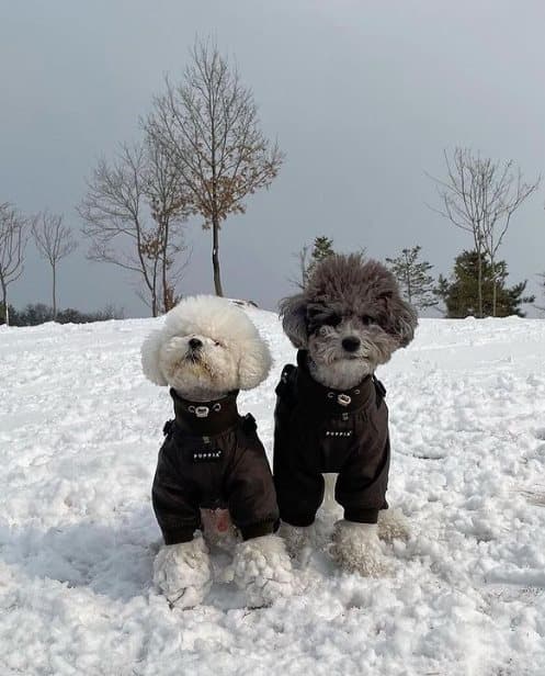 PUPPIA Khaki M mjuk vinterjumpsuit