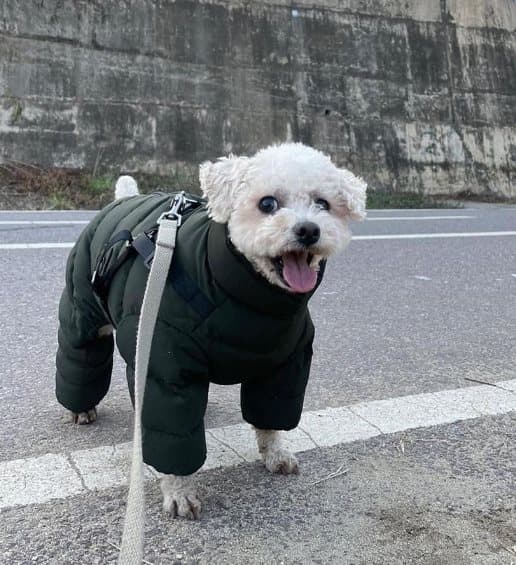 PUPPIA Khaki M mjuk vinterjumpsuit