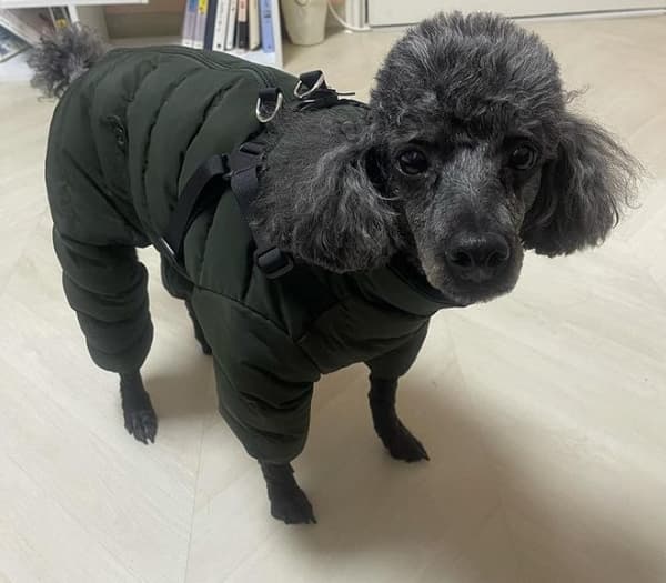 PUPPIA Khaki M mjuk vinterjumpsuit