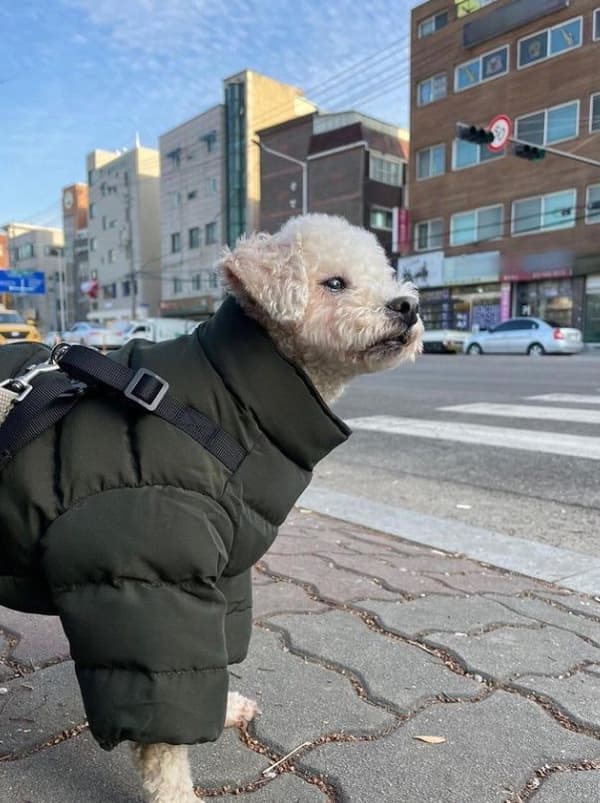 PUPPIA Khaki M mjuk vinterjumpsuit