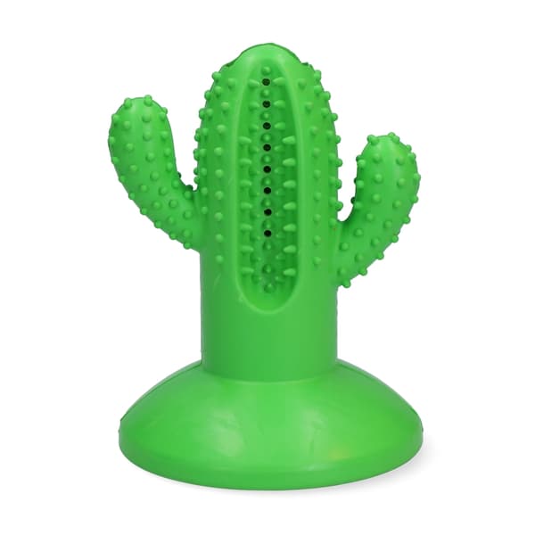AFP Dental Cactus Large Green 15cm - (AFPH04198)