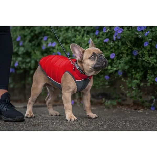 Vändbar hundjacka - Red Dingo - 30 cm - Vattentät - Neopren - Fleece