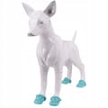Miniatyrbillede 4 af 11: Sko FLIP-FLOPS Skridsikre til DYR HUNDE KATTE TRÆSKO 1 PAR BLÅ