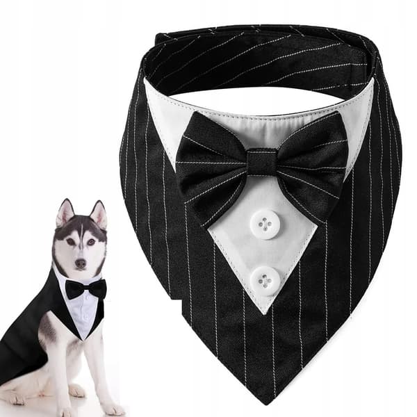 ROGGDRÄKT FÖR HUND KATT Universal kardborreband ELEGANT KLÄD storlek M