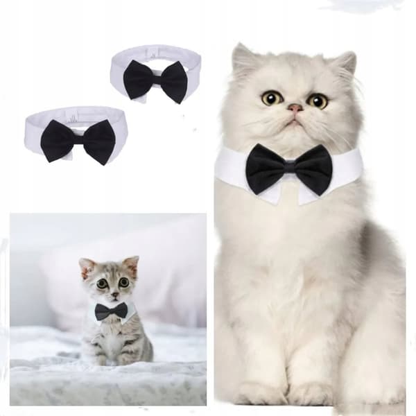 SLIPS TIL HUNDE OG KATTE Universal Velcro ELEGANT FESTOUTFIT størrelse L