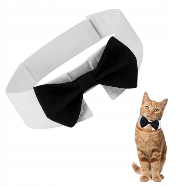 SLIPS TIL HUNDE OG KATTE Universal Velcro ELEGANT FESTOUTFIT størrelse L