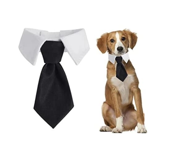 SLIPS TIL HUND OG KAT Universal Velcro ELEGANT FESTOUTFIT størrelse L
