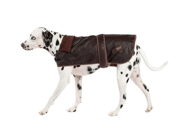 Kappa - Fatface jacka - 10DD1101 - Sussex Wax Coat för hundar 35 cm