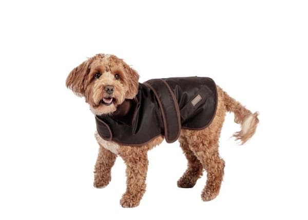 Kappa - Fatface jacka - 10DD1101 - Sussex Wax Coat för hundar 35 cm