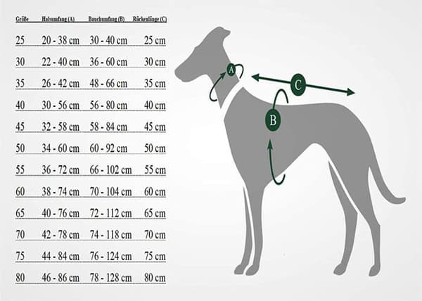 Hunter Coat - Jacka - 66827 - Uppsala Allrounder Dog Coat, 35 Antracit/Teal Blue