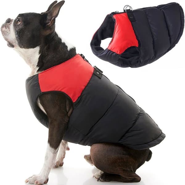 Kappa - jacka Gooby - 74003-RED-S