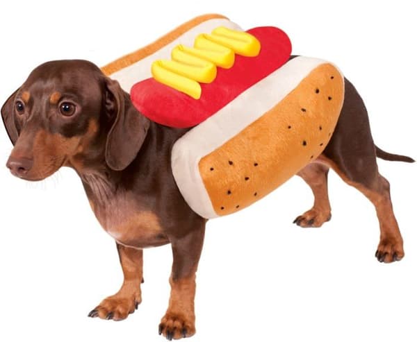 Kostym - Rubies peruk - 887829LXL - Officiell Hot Dog Food Pet Costume, storlek L