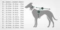 Miniatyrbild 2 av 2: Hunter Coat - Jacka - 66831 - Uppsala Allrounder Dog Coat, 55 Antracit/Teal Blue