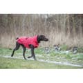 Miniatyrbild 3 av 4: Vattentät hundjacka - Trixie - Vimy - Röd - Vattentät - Reflexförmåga