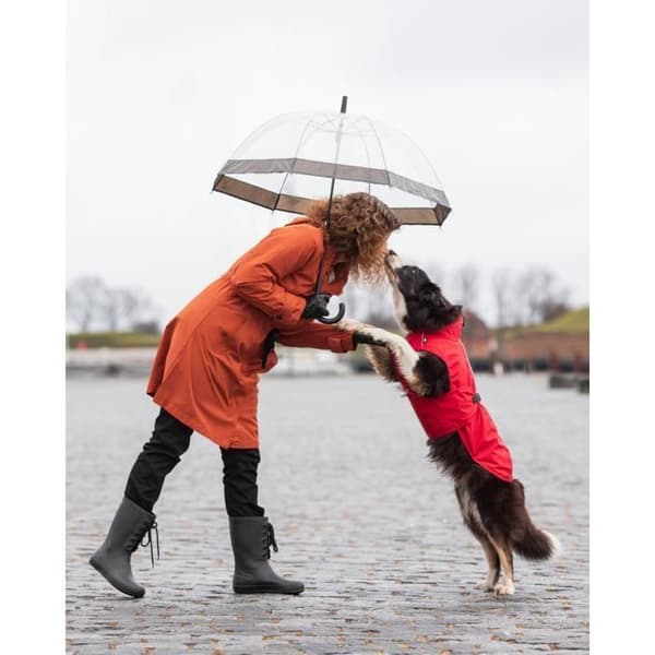 Vattentät hundjacka - Trixie - Vimy - Röd - Vattentät - Reflexförmåga