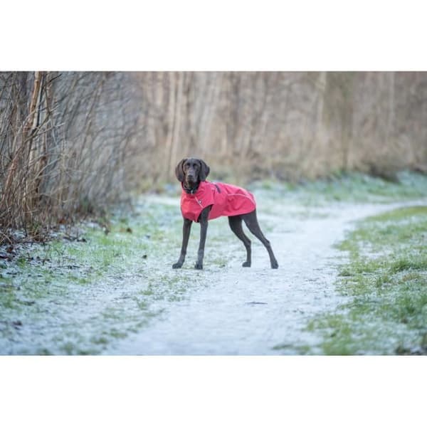 Vattentät hundjacka - Trixie - Vimy - Röd - Vattentät - Reflexförmåga