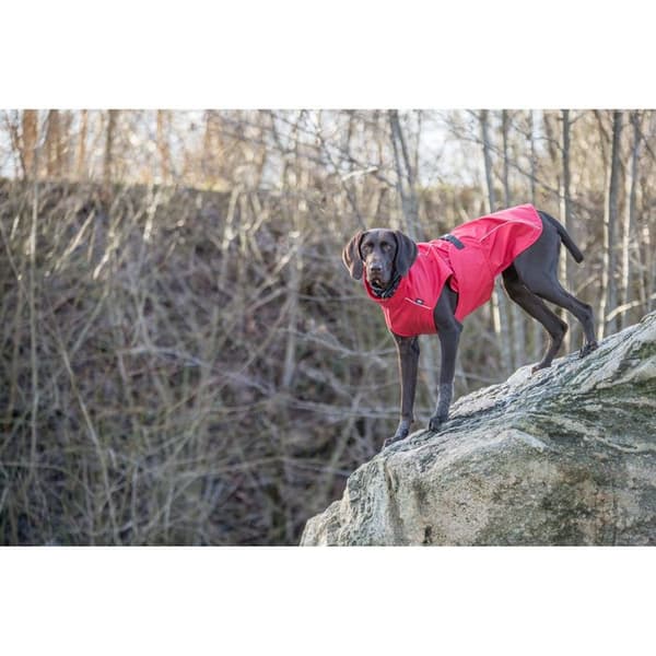 Vattentät hundjacka - Trixie - Vimy - Röd - Vattentät - Reflexförmåga