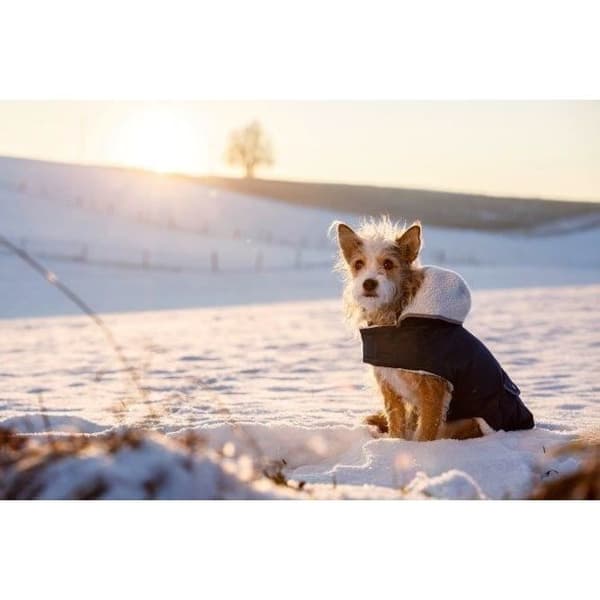 Varm hundejakke - KERBL - TEDDY - 48 cm - Blå