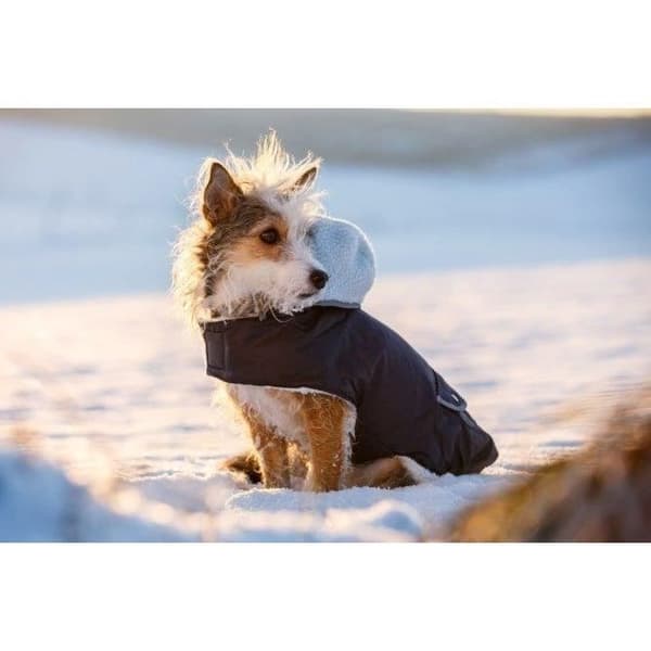 Varm hundejakke - KERBL - TEDDY - 48 cm - Blå