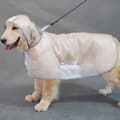Miniatyrbillede 2 af 4: INF Stilfuld Vandtæt Hund Regnfrakke - Let Kæledyrs Kappe  4XL