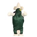 Miniatyrbilde 1 av 4: INF Vanntett magebelte for kjæledyr - Andegrønn/Grønn Style 1 M