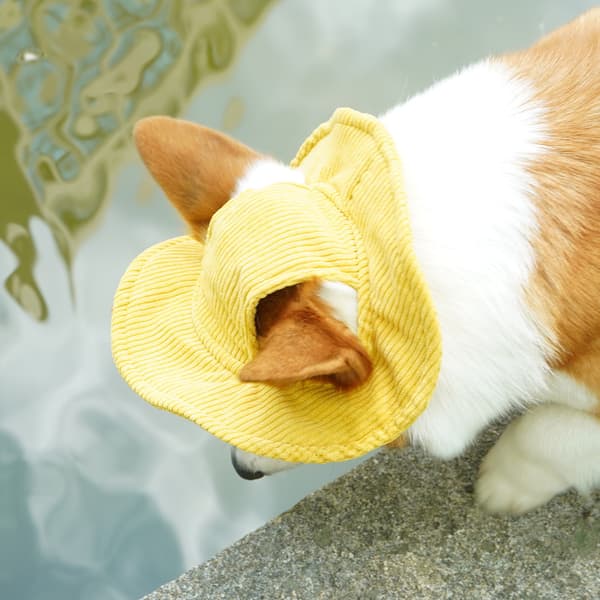 INF Gul fløjlsagtig kæledyrs bucket hat - til store hunde  XS