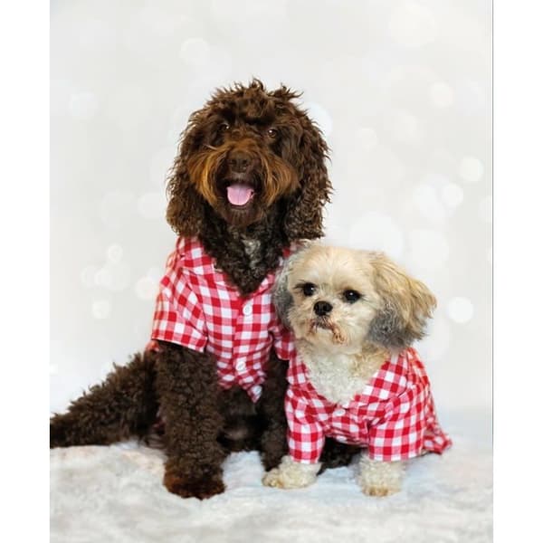 Byxa - pyjamas Rosewood - 49480 - Festlig Vichy pyjamas Storlek M, Super mjuk bomullskänsla för hund, 55 cm