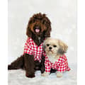 Miniatyrbild 2 av 4: Byxa - pyjamas Rosewood - 49480 - Festlig Vichy pyjamas Storlek M, Super mjuk bomullskänsla för hund, 55 cm