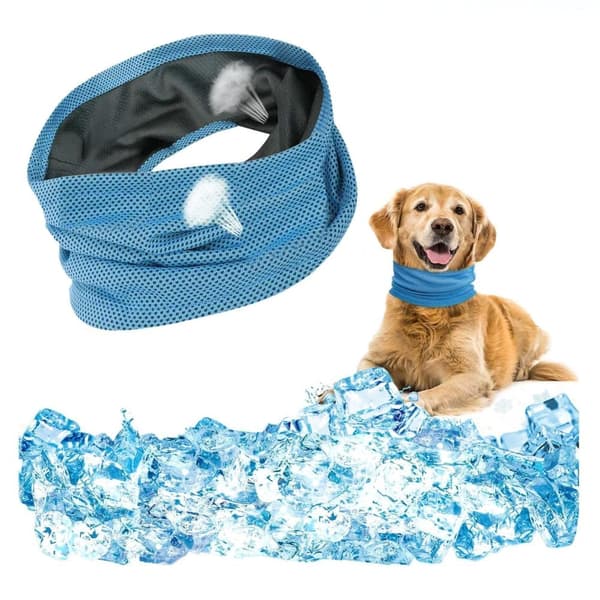 Lollanda Cooling halsbånd til hunde – åndbart og kølende tørklæde med effektiv varmeafledning, især til varme sommerdage