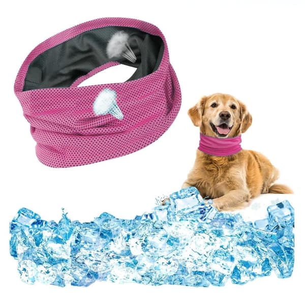 Lollanda Cooling halsbånd til hunde – åndbart og kølende tørklæde med effektiv varmeafledning, især til varme sommerdage