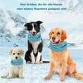 Miniatyrbillede 4 af 9: Lollanda Cooling halsbånd til hunde – åndbart og kølende tørklæde med effektiv varmeafledning, især til varme sommerdage