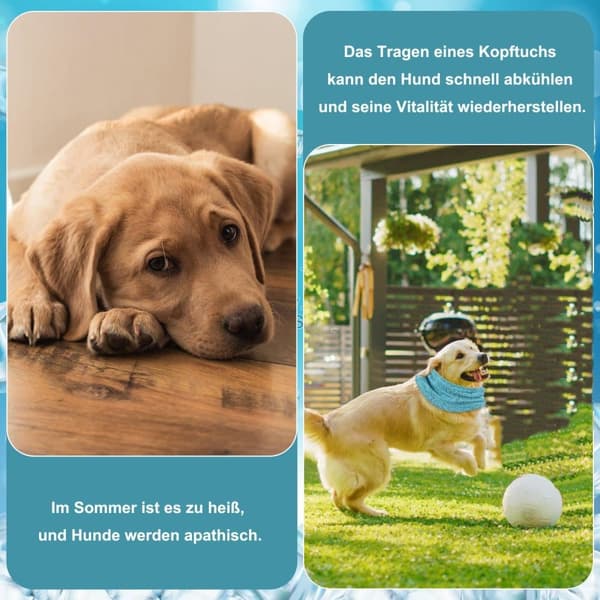 Lollanda Cooling halsbånd til hunde – åndbart og kølende tørklæde med effektiv varmeafledning, især til varme sommerdage