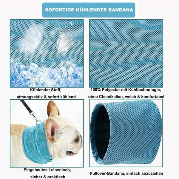 Lollanda Cooling halsbånd til hunde – åndbart og kølende tørklæde med effektiv varmeafledning, især til varme sommerdage