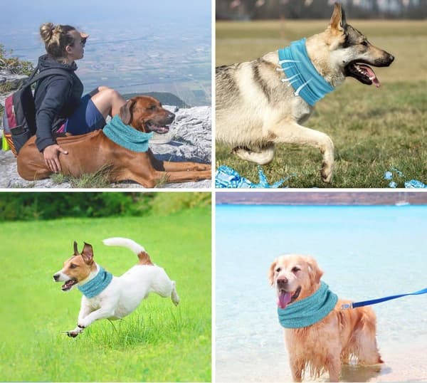 Lollanda Cooling halsbånd til hunde – åndbart og kølende tørklæde med effektiv varmeafledning, især til varme sommerdage