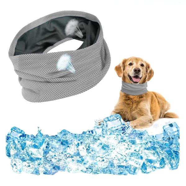 Lollanda Cooling halsbånd til hunde – åndbart og kølende tørklæde med effektiv varmeafledning, især til varme sommerdage