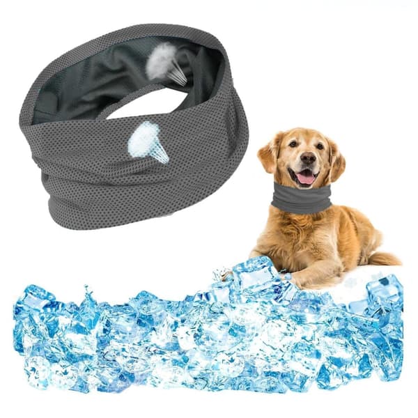 Lollanda Cooling halsbånd til hunde – åndbart og kølende tørklæde med effektiv varmeafledning, især til varme sommerdage