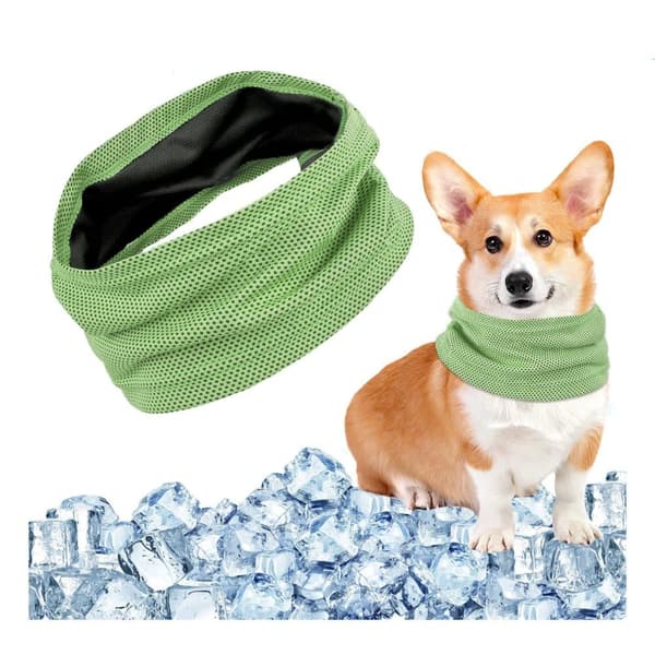 Lollanda Cooling halsbånd til hunde – åndbart og kølende tørklæde med effektiv varmeafledning, især til varme sommerdage