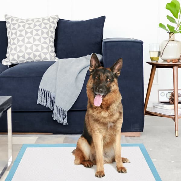 Hundetisseunderlag, Størrelse 4, 75x90 cm