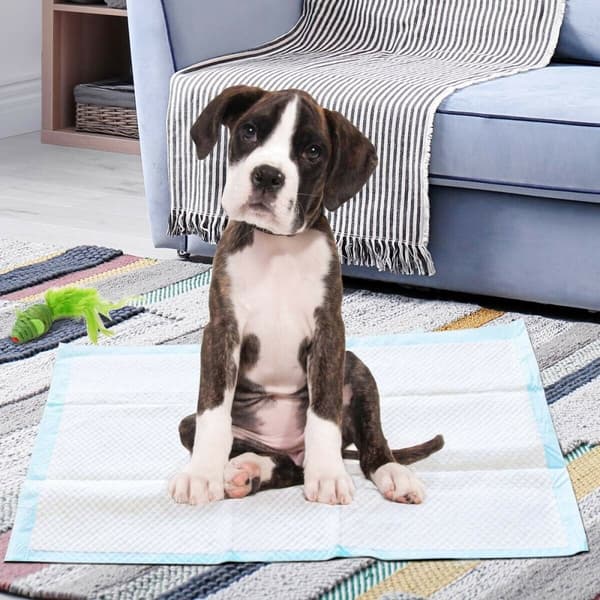 Hundkissmattor, 150 stycken Extra Stora, 75x75 cm