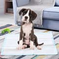Miniatyrbild 8 av 8: Hundkissmattor, 150 stycken Extra Stora, 75x75 cm
