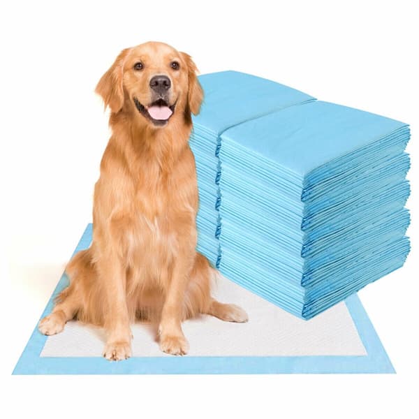 Hundkissmattor, 150 stycken Extra Stora, 75x75 cm