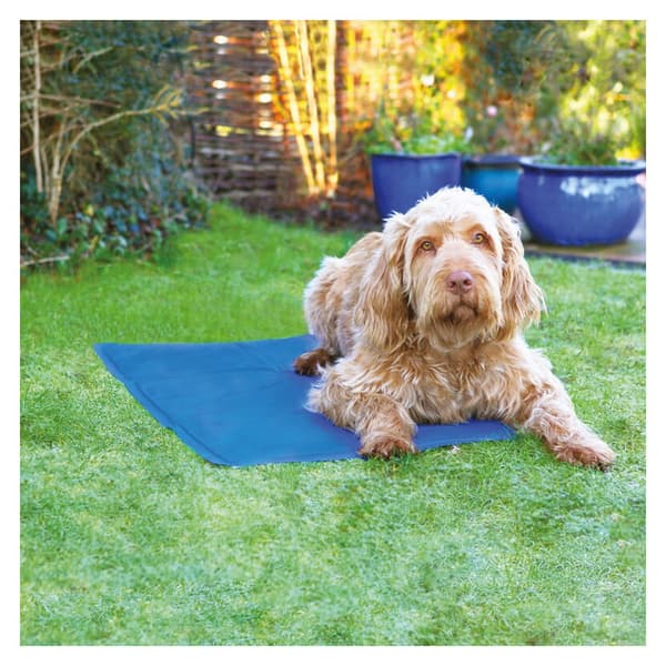 Rosewood Hund Cool Mat