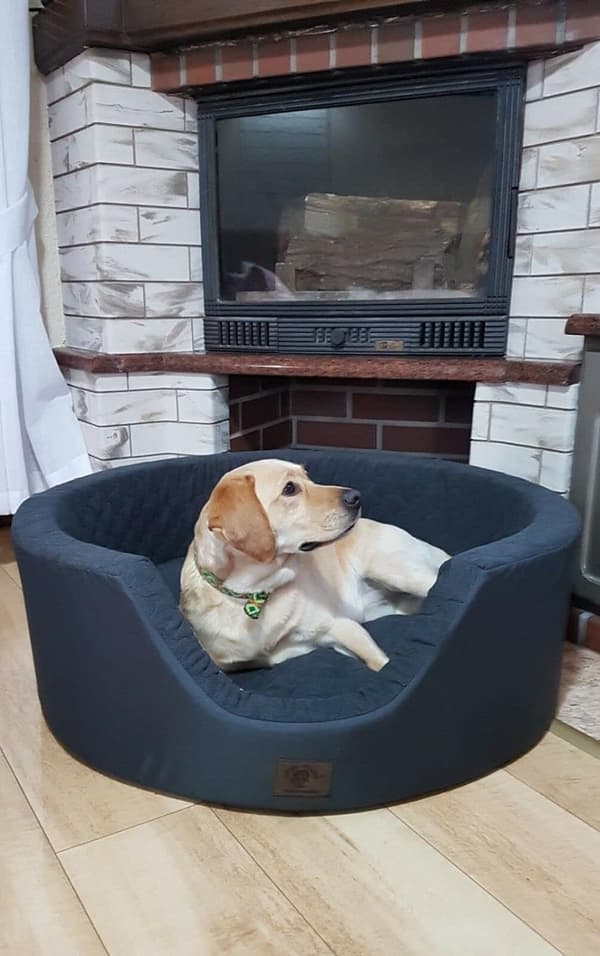 Luksus hundekurv XXL - 90 x 30 cm - vaskbart betræk - mørkeblå