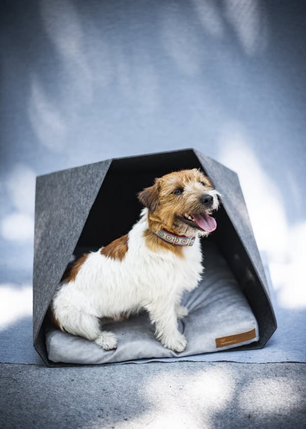 PetPocket Ecological Dog Kennel vaaleanharmaa ja värit