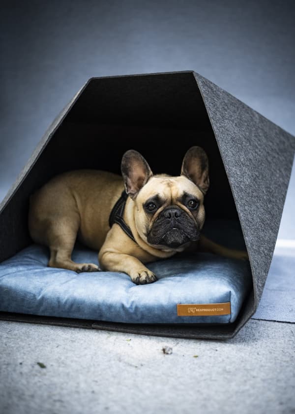 PetPocket Ecological Dog Kennel vaaleanharmaa ja värit