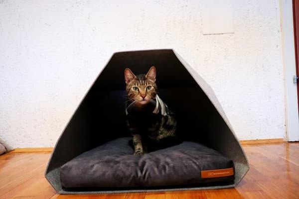 PetPocket Ecological Dog Kennel vaaleanharmaa ja värit