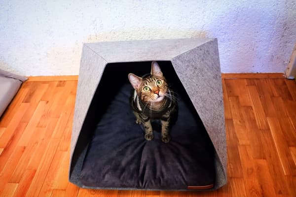 PetPocket Ecological Dog Kennel vaaleanharmaa ja värit